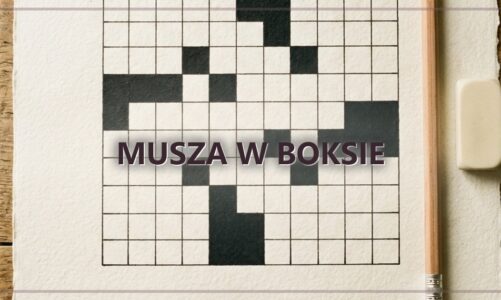 Musza w boksie