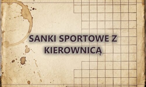 Sanki sportowe z kierownicą